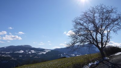 En grön backe. I kanten ligger snö och längs horisonten syns berg. Ett kalt träd avtecknar sig mot en blå himmel där solen strålar.