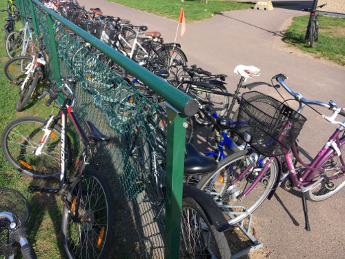 Många cyklar trängs kring ett staket.