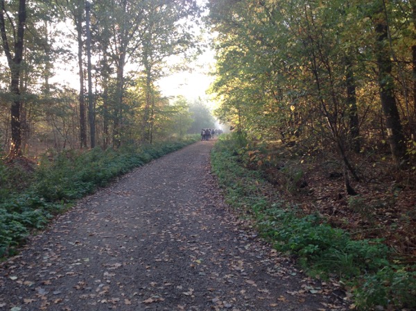 En skolklass promenerar längs en skogsväg.