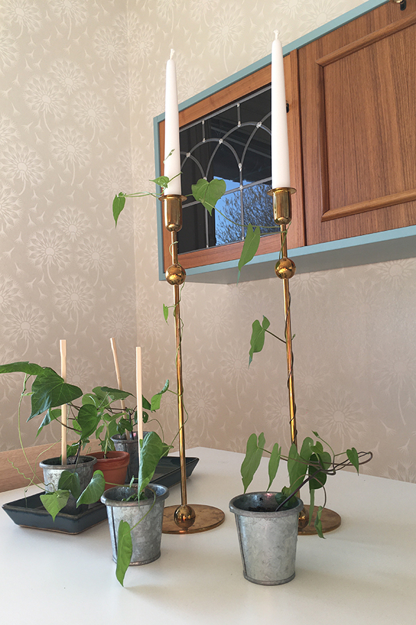 Växter som slingrar sig runt några ljusstakar.