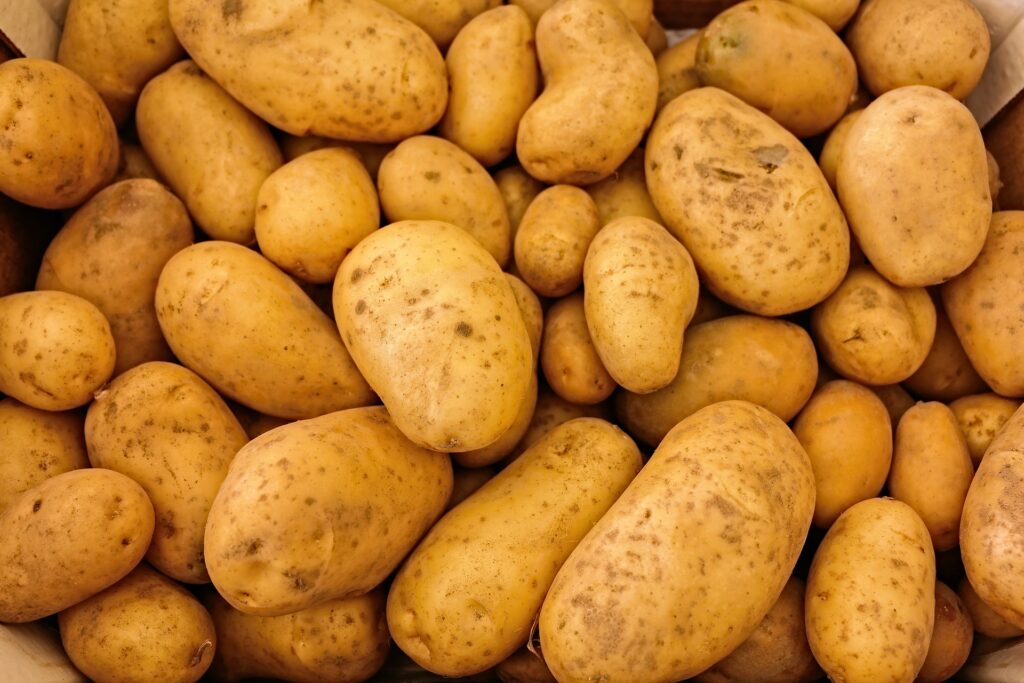 Potatis