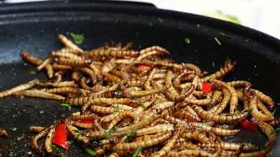 Samuel föder upp och äter insekter.