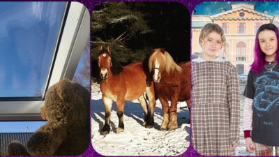 Mest lästa artiklar 2020