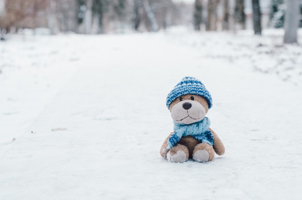 Ett gosedjur som sitter i snön