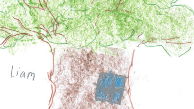 Liams teckning på ett stort träd som man kan bo i.